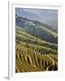 Terraced Vineyards in the Douro Region, a UNESCO World Heritage Site. Portugal-Mauricio Abreu-Framed Photographic Print