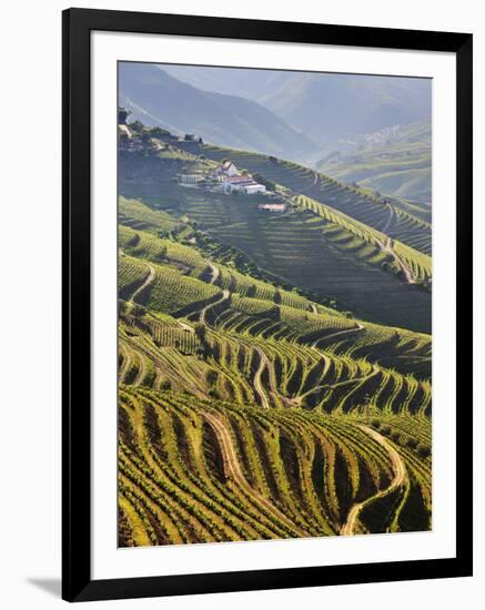 Terraced Vineyards in the Douro Region, a UNESCO World Heritage Site. Portugal-Mauricio Abreu-Framed Photographic Print