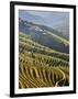 Terraced Vineyards in the Douro Region, a UNESCO World Heritage Site. Portugal-Mauricio Abreu-Framed Photographic Print