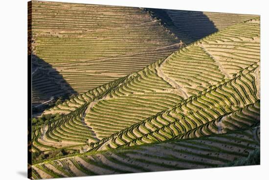 Terraced Vineyards Lining the Hills of the Duoro Valley-Terry Eggers-Stretched Canvas