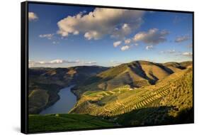 Terraced Vineyards Lining the Hills of the Duoro Valley-Terry Eggers-Framed Stretched Canvas