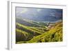 Terraced Vineyards Lining the Hills of the Duoro Valley-Terry Eggers-Framed Photographic Print