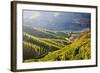 Terraced Vineyards Lining the Hills of the Duoro Valley-Terry Eggers-Framed Photographic Print