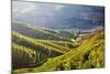 Terraced Vineyards Lining the Hills of the Duoro Valley-Terry Eggers-Mounted Photographic Print