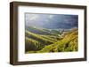 Terraced Vineyards Lining the Hills of the Duoro Valley-Terry Eggers-Framed Photographic Print