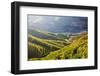 Terraced Vineyards Lining the Hills of the Duoro Valley-Terry Eggers-Framed Photographic Print