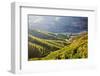 Terraced Vineyards Lining the Hills of the Duoro Valley-Terry Eggers-Framed Photographic Print