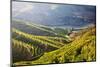Terraced Vineyards Lining the Hills of the Duoro Valley-Terry Eggers-Mounted Photographic Print