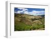 Terraced Vineyards Lining the Hills of the Duoro Valley-Terry Eggers-Framed Photographic Print