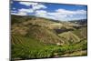 Terraced Vineyards Lining the Hills of the Duoro Valley-Terry Eggers-Mounted Photographic Print