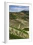 Terraced Vineyards Lining the Hills of the Duoro Valley-Terry Eggers-Framed Photographic Print