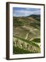 Terraced Vineyards Lining the Hills of the Duoro Valley-Terry Eggers-Framed Photographic Print