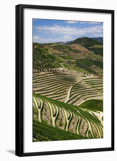 Terraced Vineyards Lining the Hills of the Duoro Valley-Terry Eggers-Framed Photographic Print