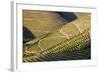 Terraced Vineyards Lining the Hills of the Duoro Valley-Terry Eggers-Framed Photographic Print