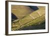 Terraced Vineyards Lining the Hills of the Duoro Valley-Terry Eggers-Framed Photographic Print