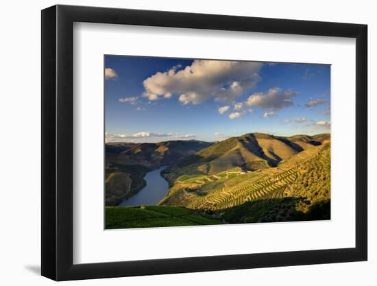 Terraced Vineyards Lining the Hills of the Duoro Valley-Terry Eggers-Framed Photographic Print