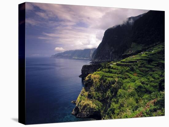 Terraced Vineyards, Seixal, Madeira, Portugal-Walter Bibikow-Stretched Canvas