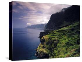 Terraced Vineyards, Seixal, Madeira, Portugal-Walter Bibikow-Stretched Canvas