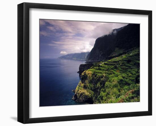 Terraced Vineyards, Seixal, Madeira, Portugal-Walter Bibikow-Framed Photographic Print