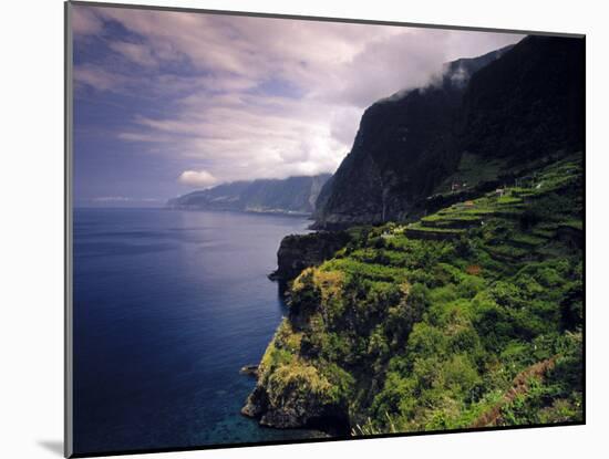 Terraced Vineyards, Seixal, Madeira, Portugal-Walter Bibikow-Mounted Photographic Print