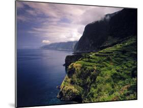 Terraced Vineyards, Seixal, Madeira, Portugal-Walter Bibikow-Mounted Photographic Print