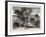 Terraces in Beaumont Park, Huddersfield, Uk, 1883-null-Framed Giclee Print