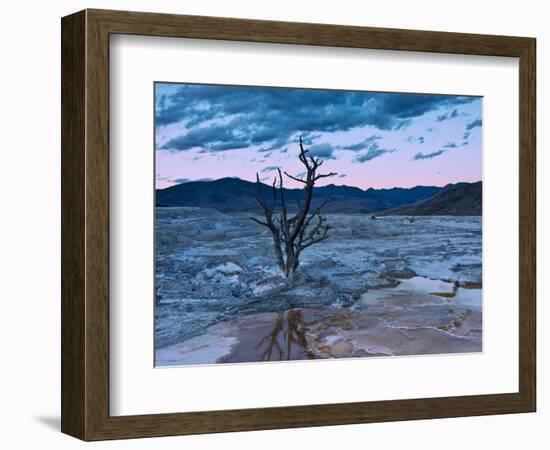 Terraces, Mammoth Hot Springs, Yellowstone National Park, Wyoming, USA-Michel Hersen-Framed Photographic Print