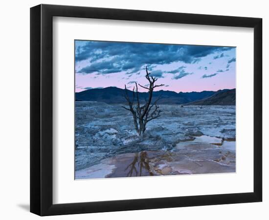 Terraces, Mammoth Hot Springs, Yellowstone National Park, Wyoming, USA-Michel Hersen-Framed Photographic Print