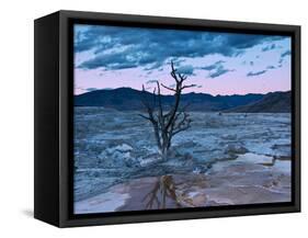 Terraces, Mammoth Hot Springs, Yellowstone National Park, Wyoming, USA-Michel Hersen-Framed Stretched Canvas