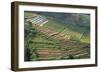 Terraces on Mountain Side, Sindoro-Sumbing Valley, Java, Indonesia-Keren Su-Framed Photographic Print