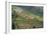 Terraces on Mountain Side, Sindoro-Sumbing Valley, Java, Indonesia-Keren Su-Framed Photographic Print