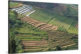 Terraces on Mountain Side, Sindoro-Sumbing Valley, Java, Indonesia-Keren Su-Stretched Canvas