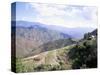 Terraces on Slopes of Mountain Interior at 1800M Altitude, Bois d'Avril, Haiti, West Indies-Lousie Murray-Stretched Canvas
