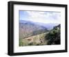 Terraces on Slopes of Mountain Interior at 1800M Altitude, Bois d'Avril, Haiti, West Indies-Lousie Murray-Framed Photographic Print