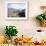 Terraces on Slopes of Mountain Interior at 1800M Altitude, Bois d'Avril, Haiti, West Indies-Lousie Murray-Framed Photographic Print displayed on a wall