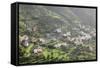 Terraces, Valle Gran Rey, La Gomera, Canary Islands, Spain, Europe-Markus Lange-Framed Stretched Canvas