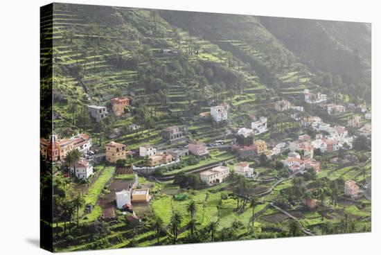 Terraces, Valle Gran Rey, La Gomera, Canary Islands, Spain, Europe-Markus Lange-Stretched Canvas