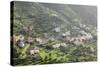 Terraces, Valle Gran Rey, La Gomera, Canary Islands, Spain, Europe-Markus Lange-Stretched Canvas