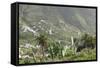 Terraces, Valle Gran Rey, La Gomera, Canary Islands, Spain, Europe-Markus Lange-Framed Stretched Canvas