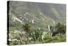Terraces, Valle Gran Rey, La Gomera, Canary Islands, Spain, Europe-Markus Lange-Stretched Canvas