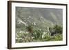 Terraces, Valle Gran Rey, La Gomera, Canary Islands, Spain, Europe-Markus Lange-Framed Photographic Print