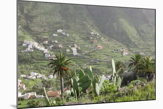 Terraces, Valle Gran Rey, La Gomera, Canary Islands, Spain, Europe-Markus Lange-Mounted Photographic Print