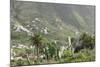 Terraces, Valle Gran Rey, La Gomera, Canary Islands, Spain, Europe-Markus Lange-Mounted Photographic Print