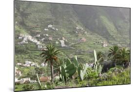 Terraces, Valle Gran Rey, La Gomera, Canary Islands, Spain, Europe-Markus Lange-Mounted Photographic Print