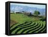 Terracing on Small Farm, Godet, Haiti, West Indies, Caribbean, Central America-Murray Louise-Framed Stretched Canvas