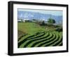 Terracing on Small Farm, Godet, Haiti, West Indies, Caribbean, Central America-Murray Louise-Framed Photographic Print