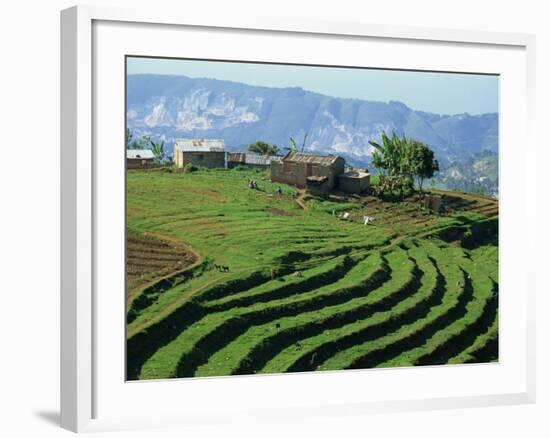 Terracing on Small Farm, Godet, Haiti, West Indies, Caribbean, Central America-Murray Louise-Framed Photographic Print