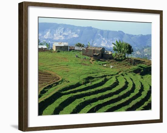 Terracing on Small Farm, Godet, Haiti, West Indies, Caribbean, Central America-Murray Louise-Framed Photographic Print