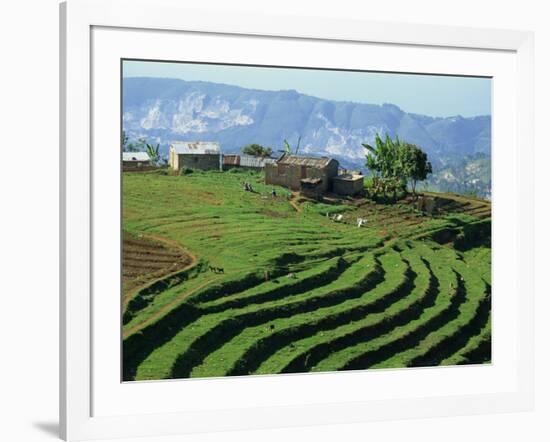 Terracing on Small Farm, Godet, Haiti, West Indies, Caribbean, Central America-Murray Louise-Framed Photographic Print