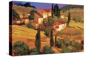 Terracotta Afternoon-Philip Craig-Stretched Canvas